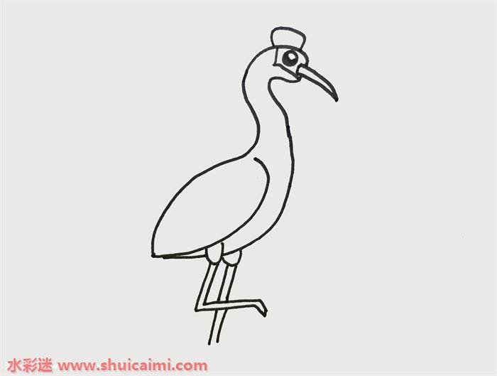丹顶鹤怎么画 丹顶鹤简笔画图片彩色
