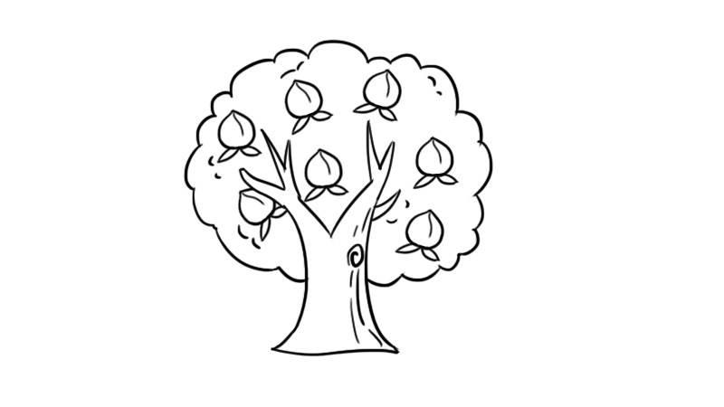 桃树简笔画图片大全 桃树简笔画图片大全集彩色