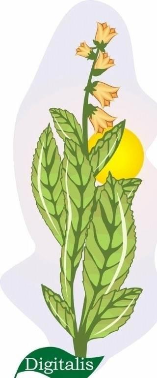烟草花简笔画 烟草花简笔画简单又漂亮