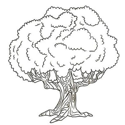 简笔画树 简笔画树怎么画简单又好看