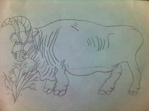 老牛简笔画 老牛简笔画彩色