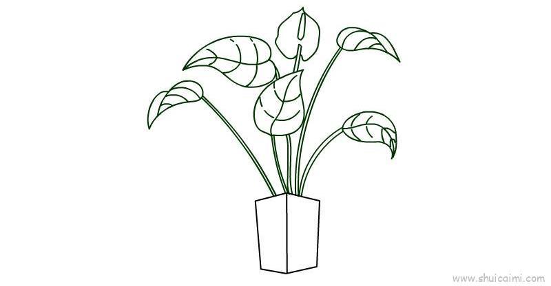 花烛儿童画怎么画 花烛简笔画简单又好看