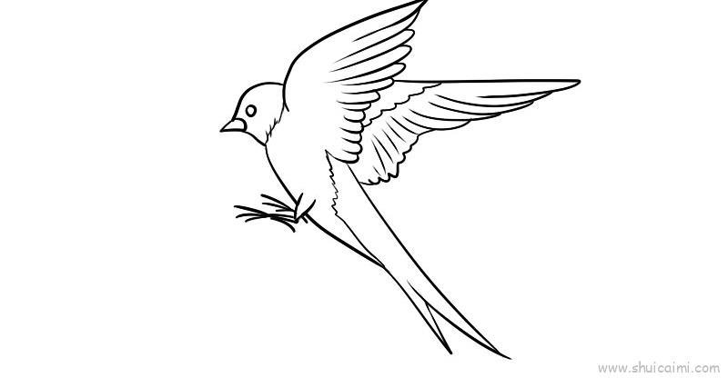 燕子儿童画怎么画 燕子简笔画简单