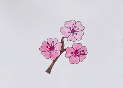 樱花树简笔画 樱花树简笔画马克笔