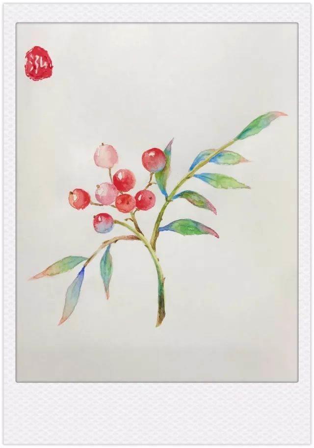 红豆简笔画 红豆简笔画可爱