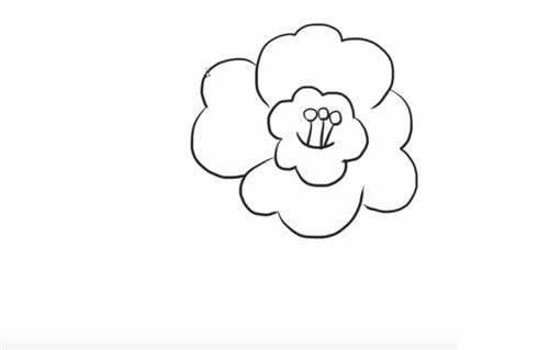 山茶花简笔画图片大全 山茶花简笔画图片大全彩色