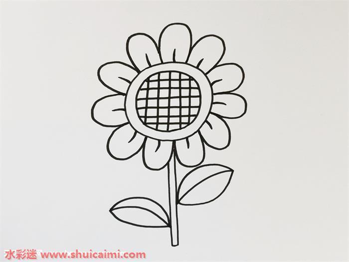 向日葵彩色怎么画 简笔画向日葵上色画法步骤