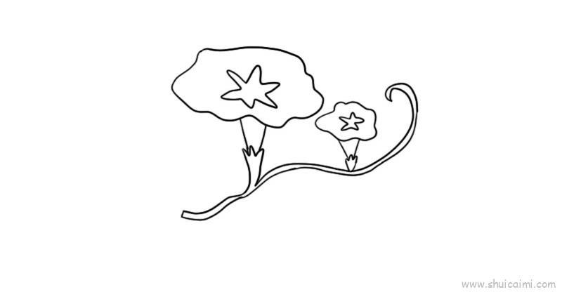 牵牛花教程儿童画怎么画 牵牛花教程简笔画图片