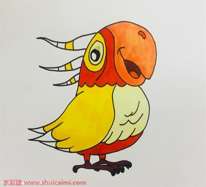 鹦鹉怎么画 鹦鹉简笔画步骤图