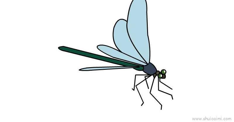 蜻蜓儿童画怎么画 蜻蜓简笔画简单又好看