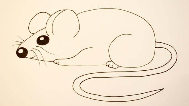 老鼠简笔画 老鼠简笔画图片大全可爱