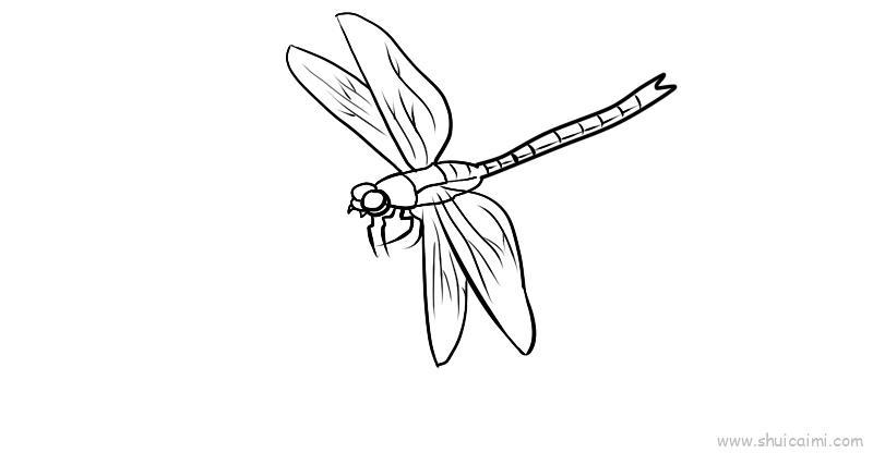 蜻蜓儿童画怎么画 蜻蜓简笔画画法