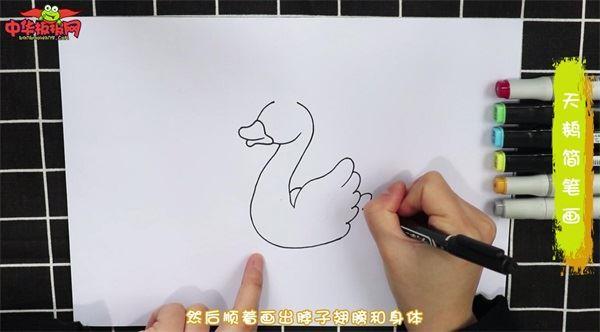 天鹅怎么画 天鹅简笔画简单又漂亮彩色