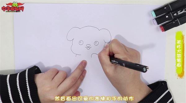 茶杯犬怎么画 茶杯犬简笔画步骤