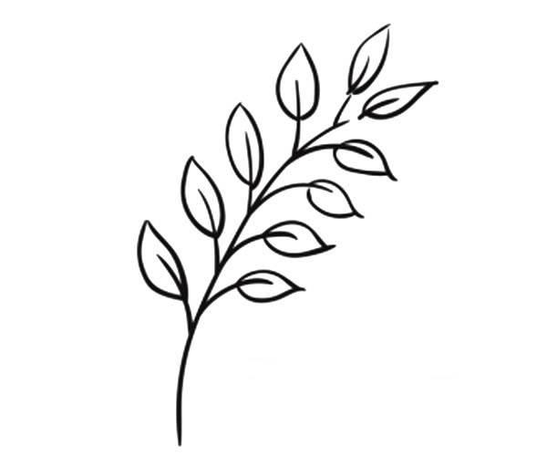 叶子简笔画 叶子简笔画彩色