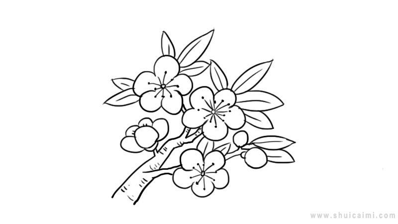 桃花简笔画怎么画 桃花简笔画简单又好看