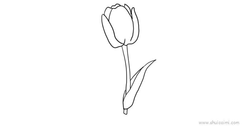 郁金香儿童画怎么画 郁金香简笔画顺序