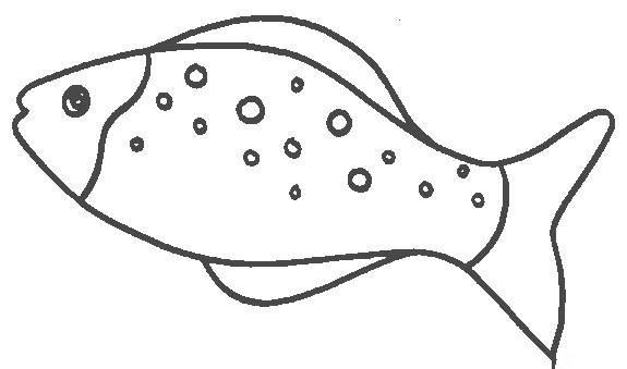 小鱼的简笔画 小鱼的简笔画可爱