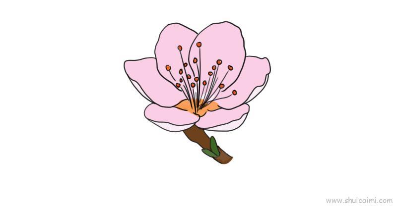 桃花儿童画怎么画 桃花简笔画画法