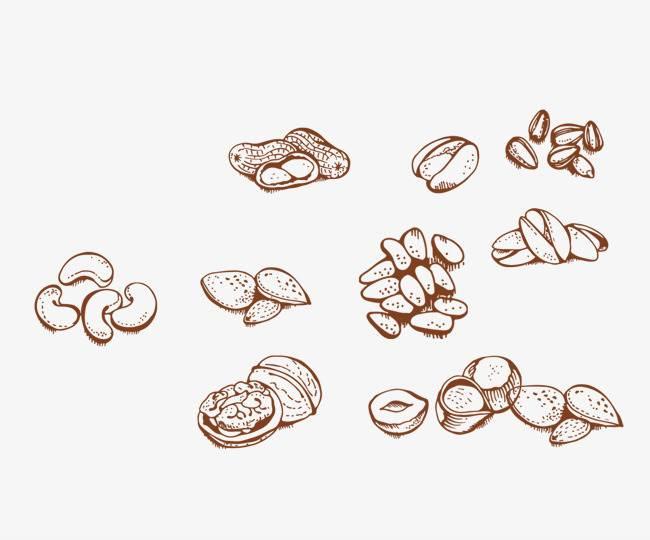 坚果简笔画 植物大战僵尸里面的坚果简笔画