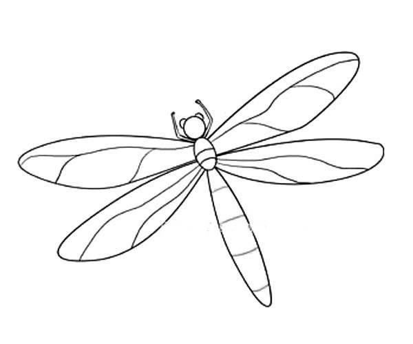 蜻蜓简笔画 蜻蜓简笔画简单又漂亮
