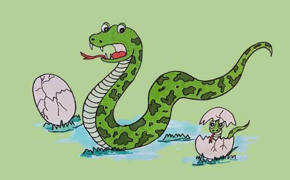 小蛇简笔画 小蛇简笔画彩色