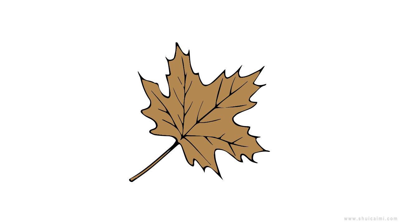 秋天枫叶简笔画怎么画 秋天枫叶简笔画顺序