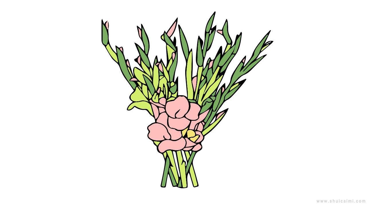 剑兰简笔画怎么画 剑兰简笔画简单