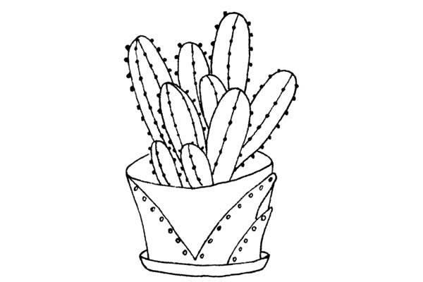 仙人掌简笔画 仙人掌简笔画图片彩色