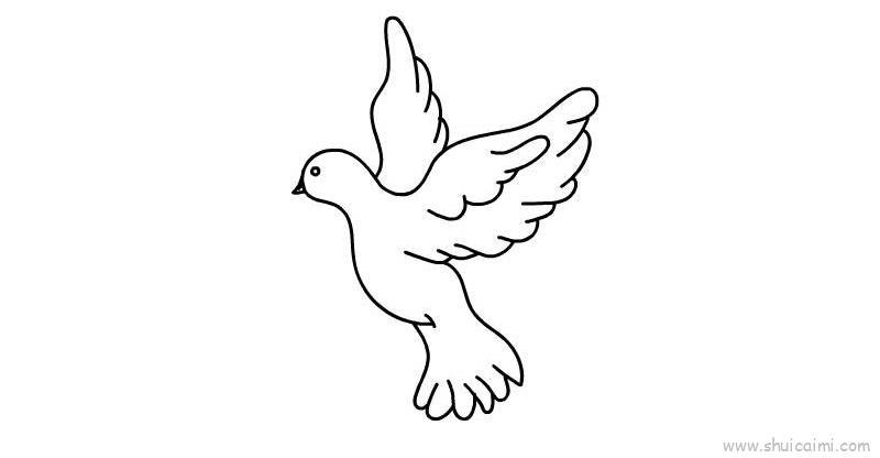 和平鸽儿童画怎么画 和平鸽简笔画好看
