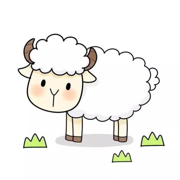 小羊简笔画图片大全 小羊简笔画图片大全彩色