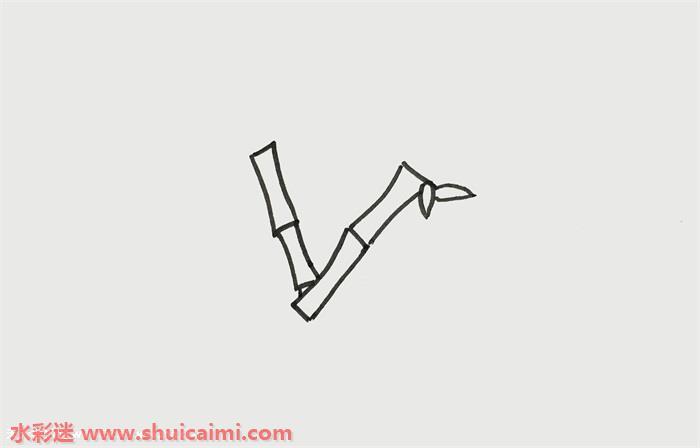竹子怎么画 竹子简笔画简单彩色