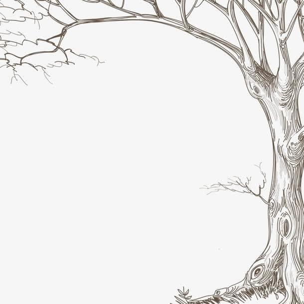 树干简笔画 树干简笔画图片