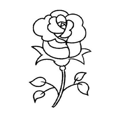 月季花简笔画图片大全 月季花简笔画图片大全大图