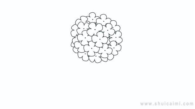 绣球花简笔画怎么画 绣球花简笔画画法