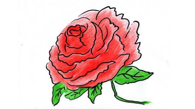 牡丹花简笔画 牡丹花简笔画简单又好看