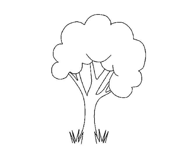 画树的简笔画 简单画树的简笔画