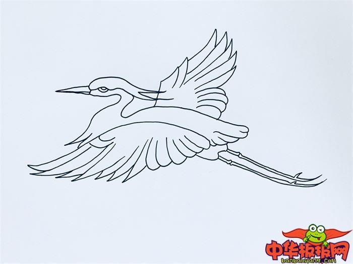 飞翔白鹭怎么画 飞翔白鹭简笔画画法