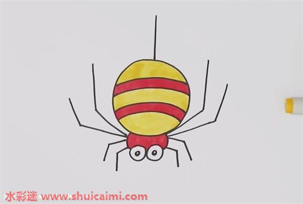 蜘蛛怎么画 蜘蛛简笔画简单彩色