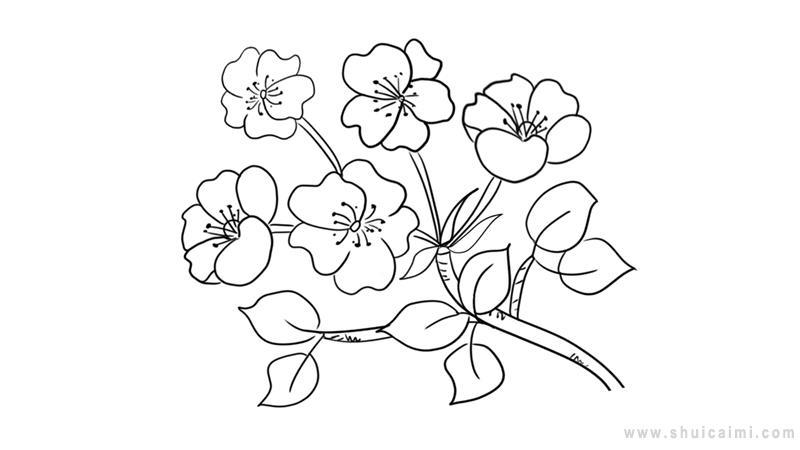 梨花简笔画怎么画 梨花简笔画图片大全