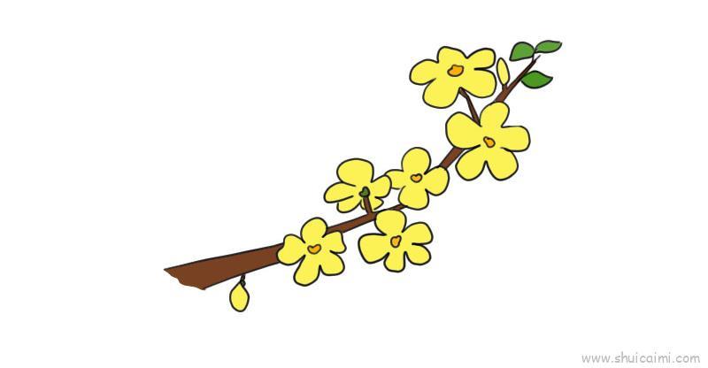 迎春花儿童画怎么画 迎春花简笔画图片大全