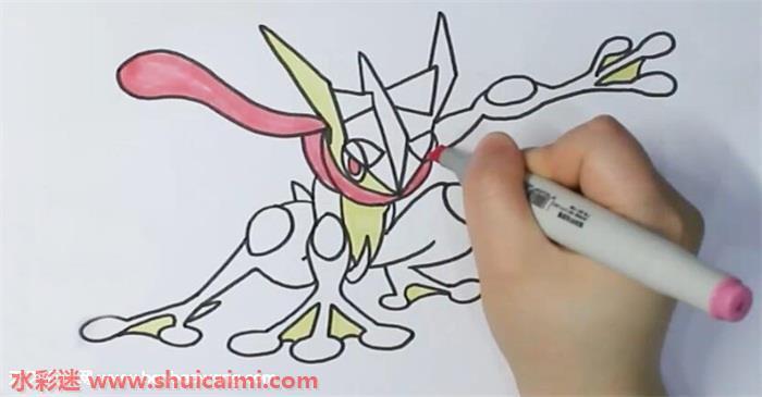 甲贺忍蛙怎么画 甲贺忍蛙简笔画彩色