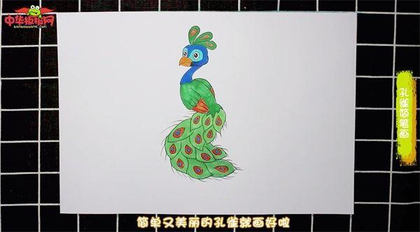 孔雀怎么画 孔雀简笔画简单易画彩色