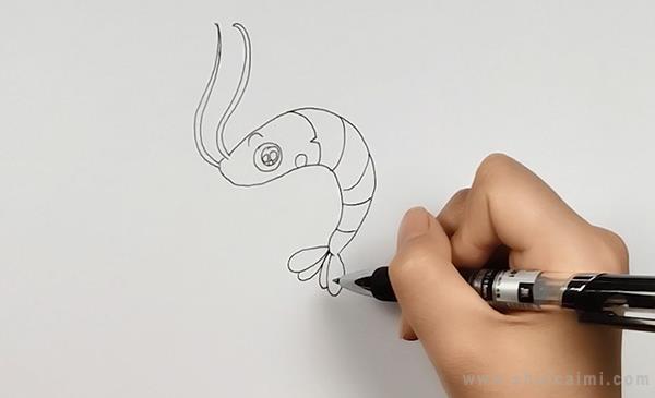 虾简笔画怎么画 虾简笔画画法