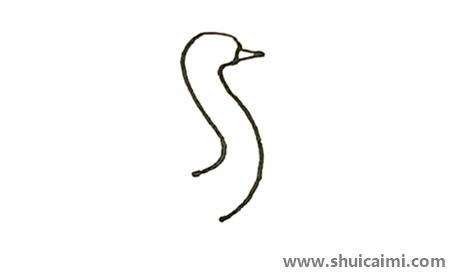 鸵鸟彩色儿童简笔画