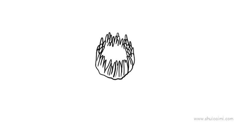 娇艳睡莲儿童画怎么画 娇艳睡莲简笔画好看