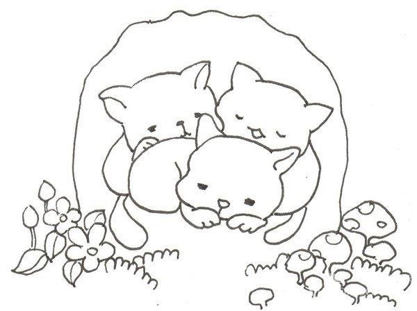 树洞里的猫咪的简笔画怎么画 树洞里的猫咪的简笔画顺序