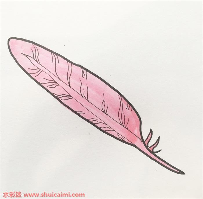 羽毛怎么画 羽毛简笔画步骤
