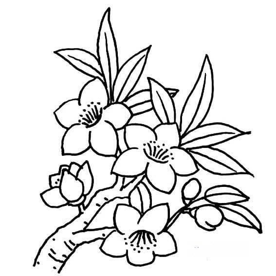 初中生怎么画简笔画 初中生怎么画简笔画图片