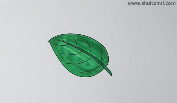 叶子简笔画怎么画 叶子简笔画好看